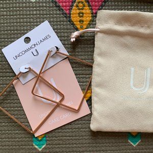 Uncommon James earrings